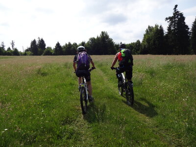 LES CHAMPS DANS LES HAIES, 6