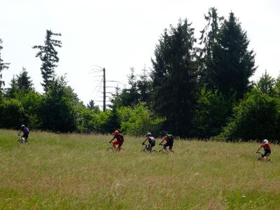 LES CHAMPS DANS LES HAIES, 6a