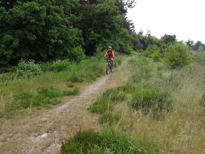 LES CHAMPS DANS LES HAIES, 27b