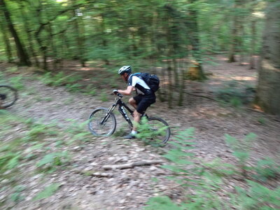 LES CHAMPS DANS LES HAIES, 34