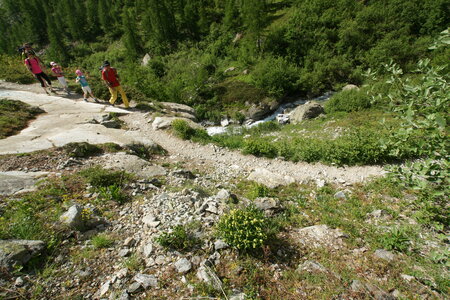 2015-05-30-randonnée-refuge-bans, alpes-aventure-randonne-trek-famille-refuge-bans-2015-05-30-087
