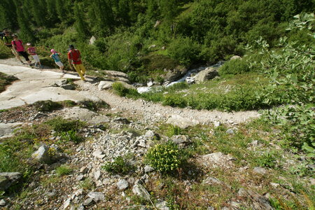 2015-05-30-randonnée-refuge-bans, alpes-aventure-randonne-trek-famille-refuge-bans-2015-05-30-088