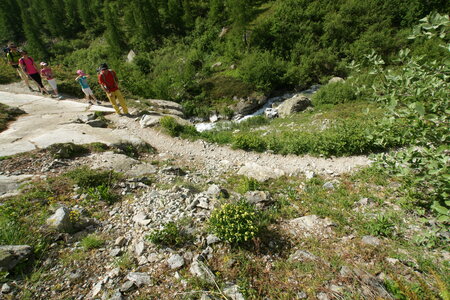 2015-05-30-randonnée-refuge-bans, alpes-aventure-randonne-trek-famille-refuge-bans-2015-05-30-089