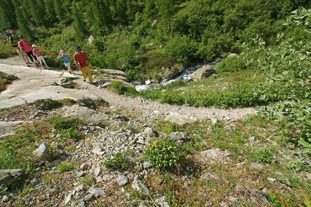 2015-05-30-randonnée-refuge-bans, alpes-aventure-randonne-trek-famille-refuge-bans-2015-05-30-091