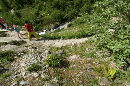 2015-05-30-randonnée-refuge-bans, alpes-aventure-randonne-trek-famille-refuge-bans-2015-05-30-093