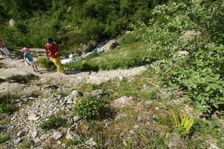 2015-05-30-randonnée-refuge-bans, alpes-aventure-randonne-trek-famille-refuge-bans-2015-05-30-095