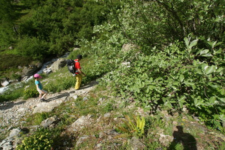 2015-05-30-randonnée-refuge-bans, alpes-aventure-randonne-trek-famille-refuge-bans-2015-05-30-097