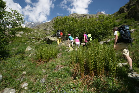 2015-05-30-randonnée-refuge-bans, alpes-aventure-randonne-trek-famille-refuge-bans-2015-05-30-131
