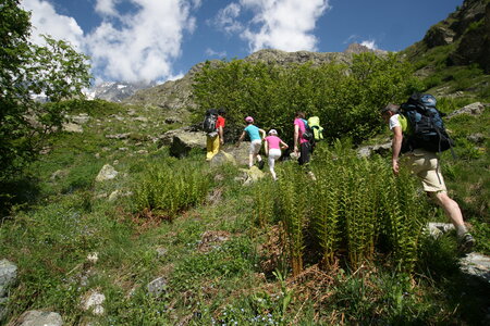 2015-05-30-randonnée-refuge-bans, alpes-aventure-randonne-trek-famille-refuge-bans-2015-05-30-132