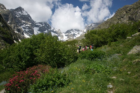 2015-05-30-randonnée-refuge-bans, alpes-aventure-randonne-trek-famille-refuge-bans-2015-05-30-136