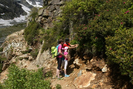 2015-05-30-randonnée-refuge-bans, alpes-aventure-randonne-trek-famille-refuge-bans-2015-05-30-265