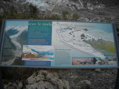 Fox Glacier, DSCN1018