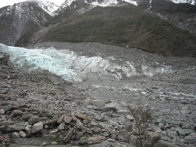 Fox Glacier, DSCN1024