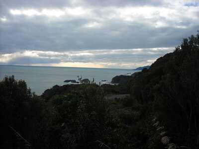 Knights Point Lookout, DSCN0958