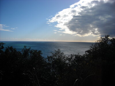 Knights Point Lookout, DSCN0953