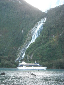 Milford Sound, DSCN0859