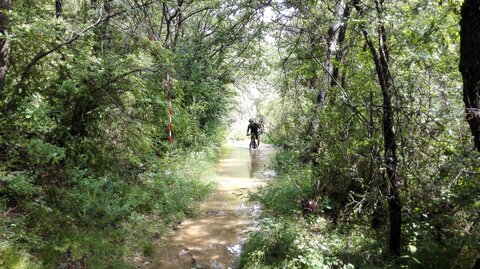 2015-06-14 - La Roche Amère 2015, IMG_20150614_105007