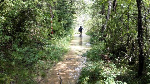 2015-06-14 - La Roche Amère 2015, randonnée de la roche amere 2015 - 2