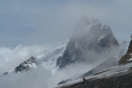 2015-06-19-la-grave-col-girose, alpes-aventure-alpinisme-randonnee-glaciaire-col-girose-la-grave-la-meije-26