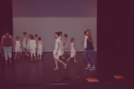 Théâtre 2015 - La Compagnie Les Yeux d'Encre - « La nuit de Léodule. », DSC_0005
