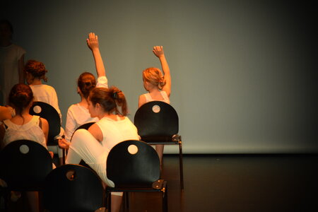 Théâtre 2015 - La Compagnie Les Yeux d'Encre - « La nuit de Léodule. », DSC_0087