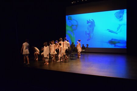 Théâtre 2015 - La Compagnie Les Yeux d'Encre - « La nuit de Léodule. », DSC_0706