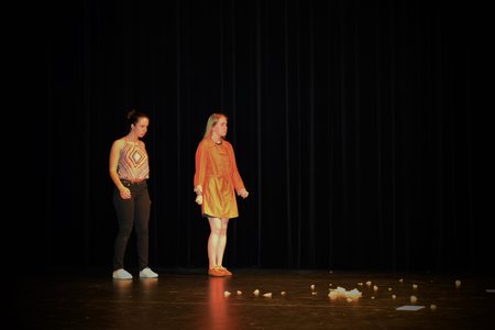 Théâtre 2015 - La Compagnie Les Yeux d'Encre - «En bas de chez toi. », DSC_0302