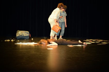 Théâtre 2015 - La Compagnie Les Yeux d'Encre - «En bas de chez toi. », DSC_0383