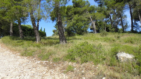Maison Barbentane, DSC00140