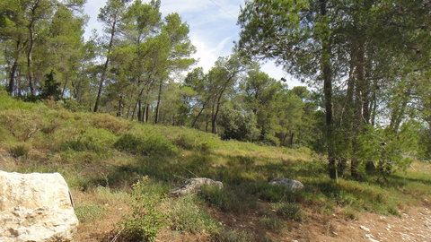 Maison Barbentane, DSC00143