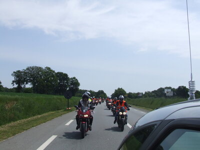 Photo Balade 2008, 2008_0511LESMOTARDSONTDUCOEUR0046