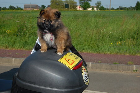 Photo Balade 2008, 309