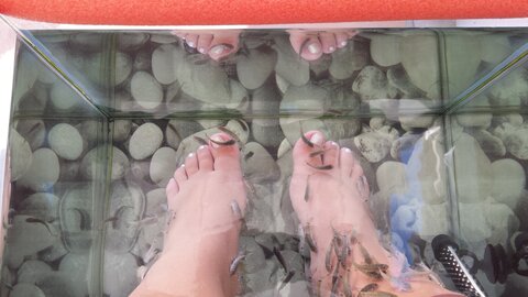 Mallorca Juin 2015 / Can Picafort, ichtyotherapie