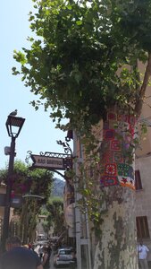 Mallorca Juin 2015 / Island Tour, Puerto Soller - 20150701_151859