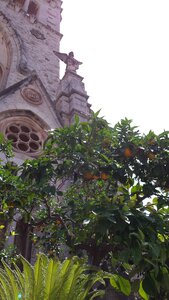 Mallorca Juin 2015 / Island Tour, Puerto Soller - 20150701_151929