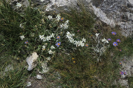 2015-07-12-13-escalade-alpinisme-la-grave, alpes-aventure-escalade-cerces-eperon-route-roche-robert-2015-07-12-29