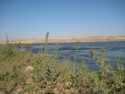20/05/10 -  ORAN, IMG_3505