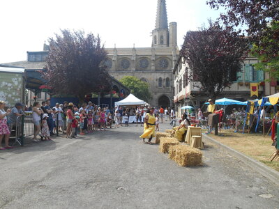 Mirepoix 2015, DSCN1162