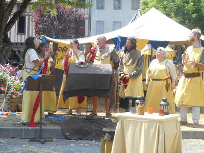 Mirepoix 2015, DSCN1172