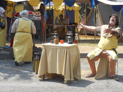 Mirepoix 2015, DSCN1180