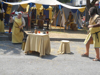 Mirepoix 2015, DSCN1189