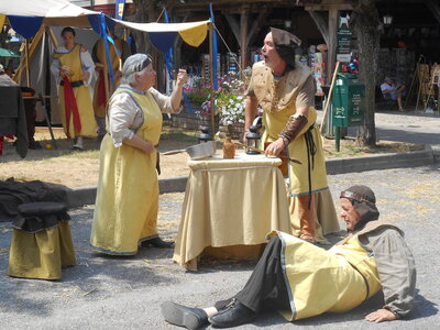 Mirepoix 2015, DSCN1215