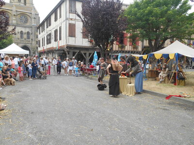 Mirepoix 2015, DSCN1233