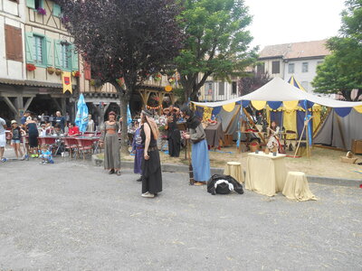 Mirepoix 2015, DSCN1245