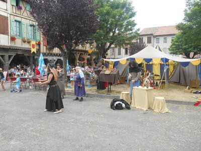 Mirepoix 2015, DSCN1246