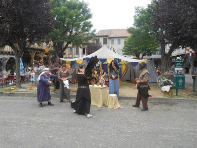 Mirepoix 2015, DSCN1249