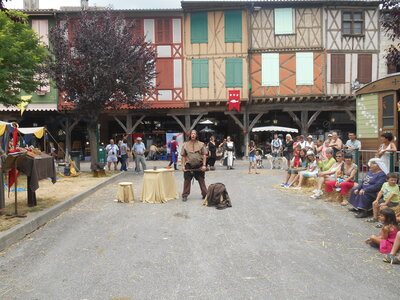 Mirepoix 2015, DSCN1279