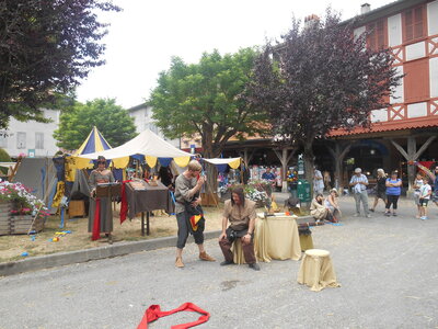 Mirepoix 2015, DSCN1289