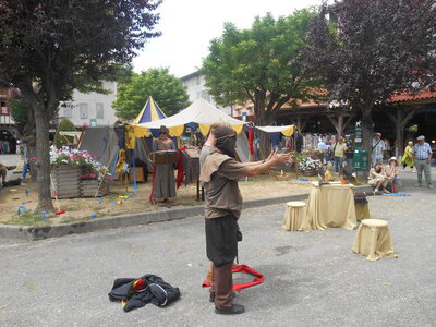 Mirepoix 2015, DSCN1293