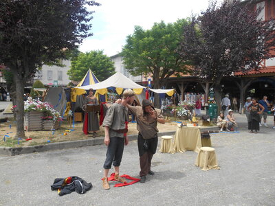 Mirepoix 2015, DSCN1294